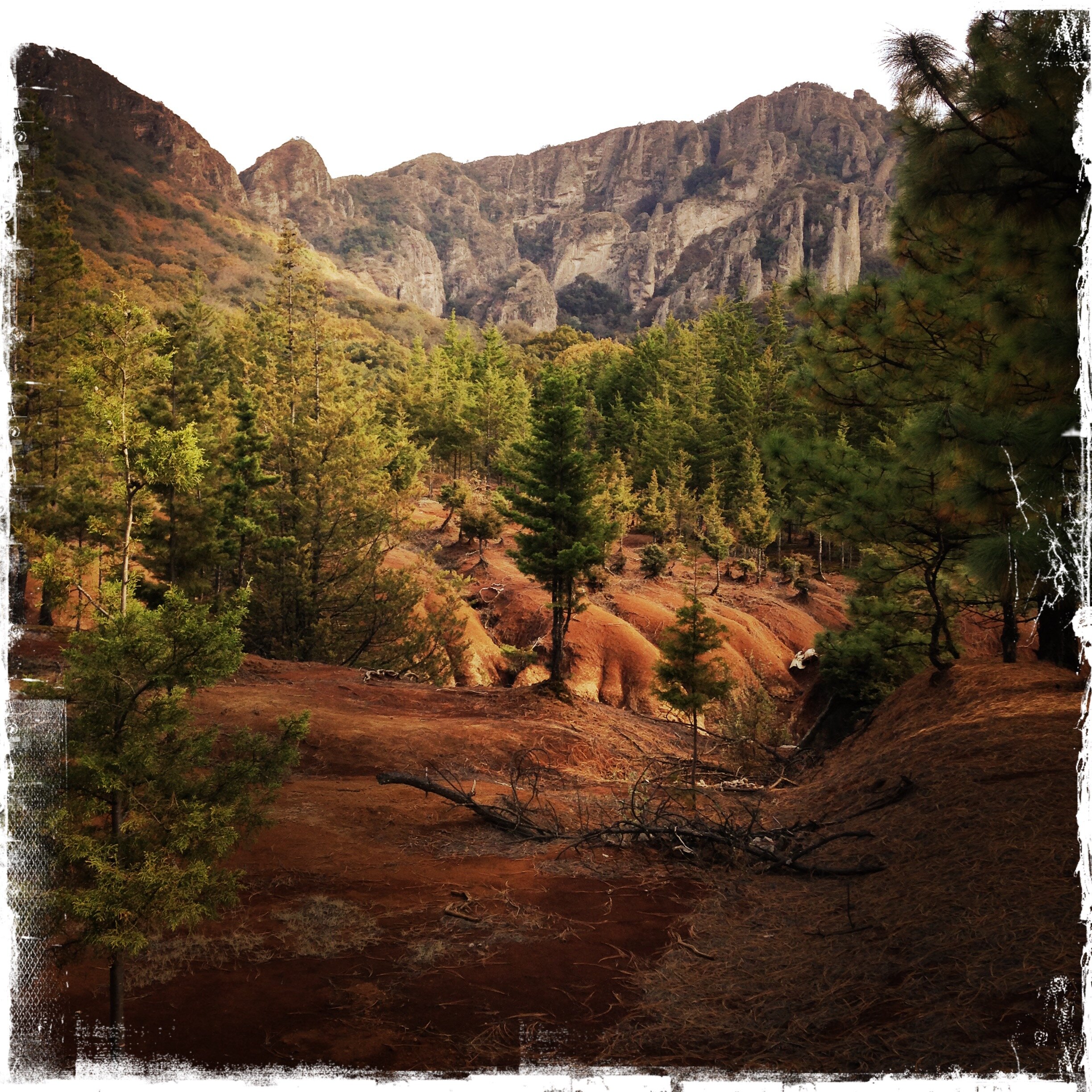 HipstamaticPhoto-541291376.425575