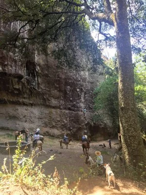 ezgif.com-jpg-to-webp-converter (10)