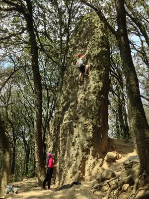 ezgif.com-jpg-to-webp-converter (7)