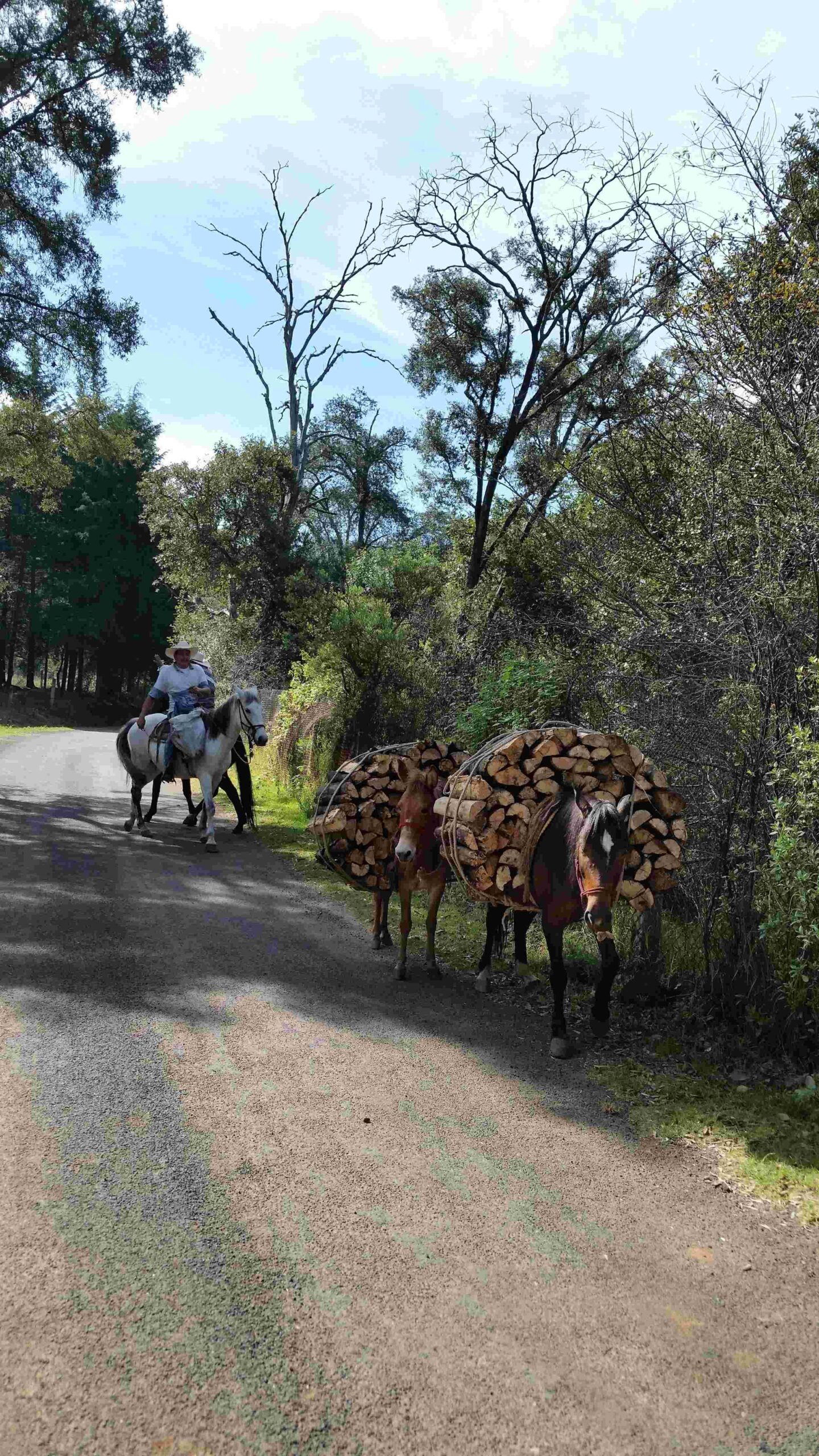 tumblr_mlsetsKySj1rkz363o4_1280 (1)